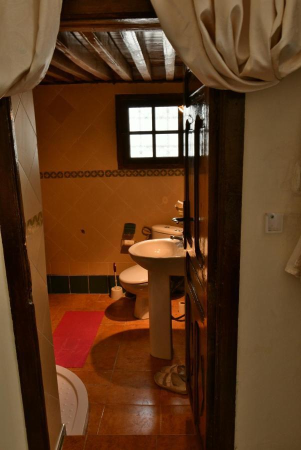 Riad Alkatib מקנס מראה חיצוני תמונה